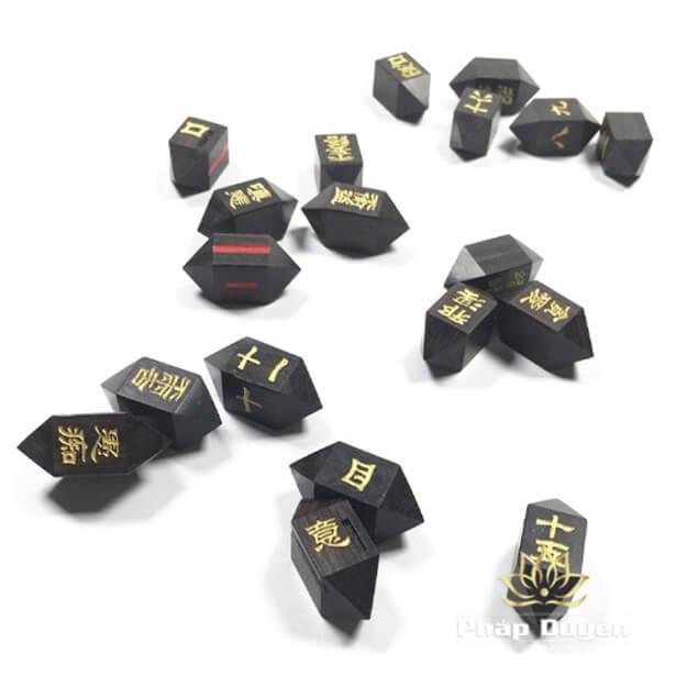 csml-001d-011