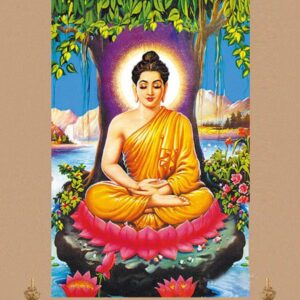 12 Phật Thích Ca  Hình Phật  Tranh Phật  Buddha ý tưởng  mẫu nỉ phật  hình