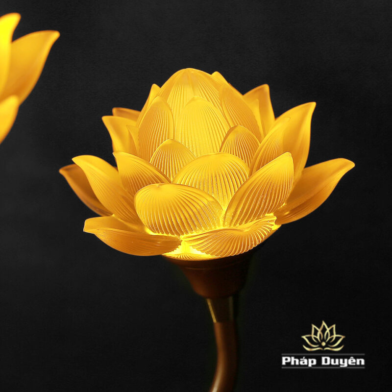 Đôi Đèn Thịnh Thế Hoa Khai 7 bông Thuỷ Lưu Ly Vàng Nở, Thân Đỏ Đèn Vàng, Cao 80cm, Ngang 46cm - Ảnh 4