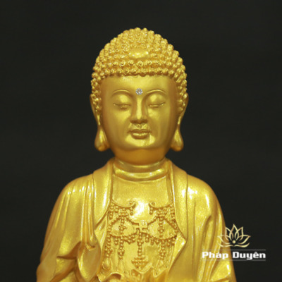 Alternative view of Tượng Phật A Di Đà Thân Vàng Tịnh Tông Bằng Composite, Cao 36cm