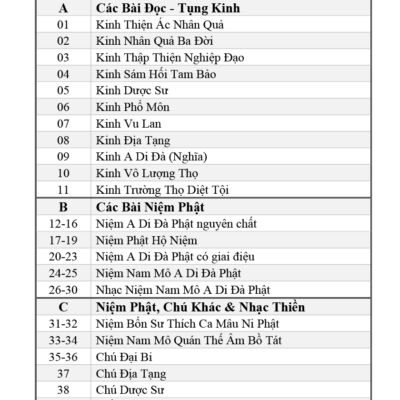 Góc chụp khác của Thẻ Nhớ Micro SD Nhiều Loại - Có Nội Dung Sẵn Các Bài Pháp, Tụng Kinh, Niệm Phật