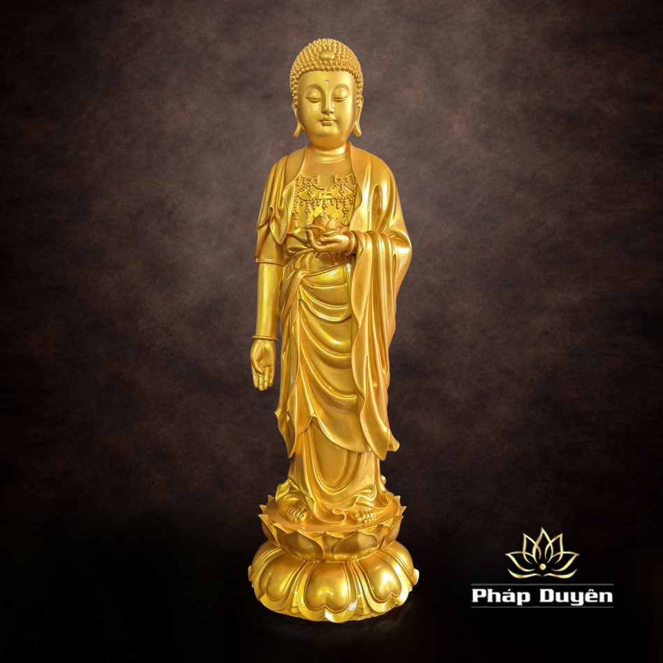 Tượng Phật A Di Đà Thân Vàng Tịnh Tông Cổ 70cm - ảnh 5