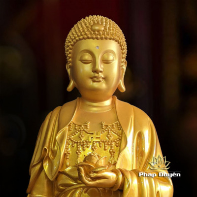 Alternative view of Tượng Phật A Di Đà Thân Vàng Tịnh Tông Cổ 70cm