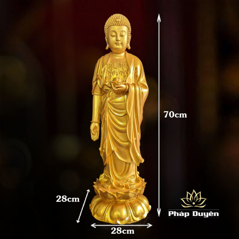 Tượng Phật A Di Đà Thân Vàng Tịnh Tông Cổ 70cm - Ảnh 6