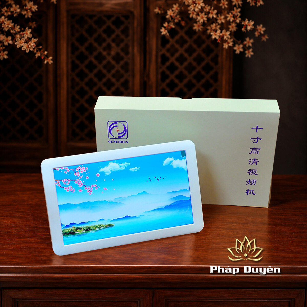 Máy Nghe Pháp, Xem Hình Mp4 - JSV04, Màn Hình 7inch, 10inch - ảnh 5