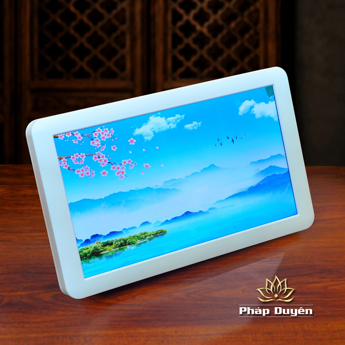 Máy Nghe Pháp, Xem Hình Mp4 - JSV04, Màn Hình 7inch, 10inch - ảnh 6