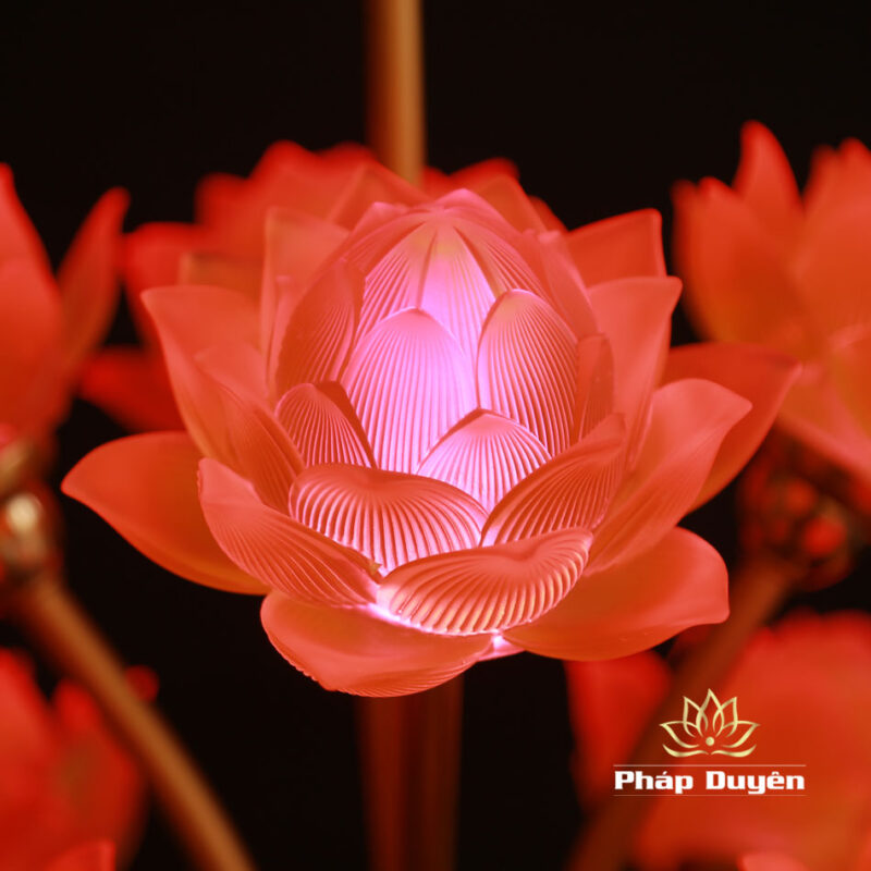 Đôi Đèn Bình Hoa Thịnh Thế Hoa Khai, 13 Bông To, Cao 70cm - Ảnh 7