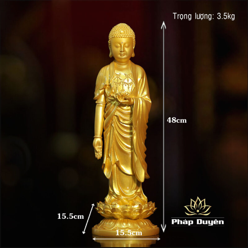 Tượng A Di Đà Tịnh Tông Màu Vàng, Composit ,Cao 48cm - Ảnh 6