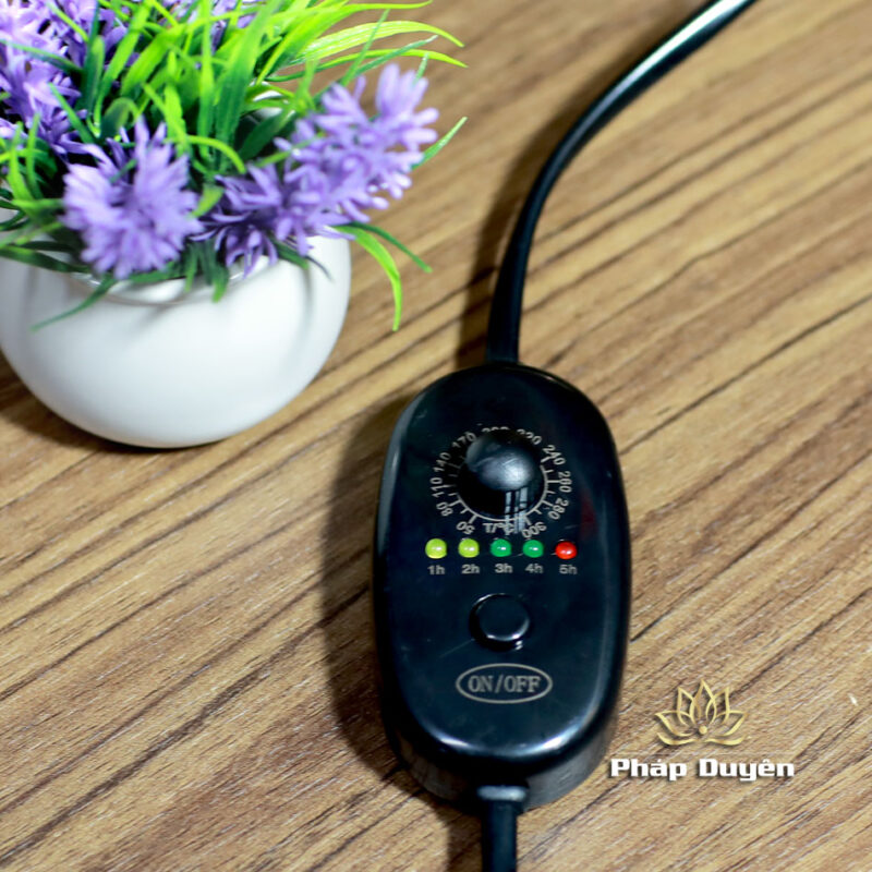 Lư Xông Trầm Bằng Điện, Hình Bát Nhã Tâm Kinh - Ảnh 4