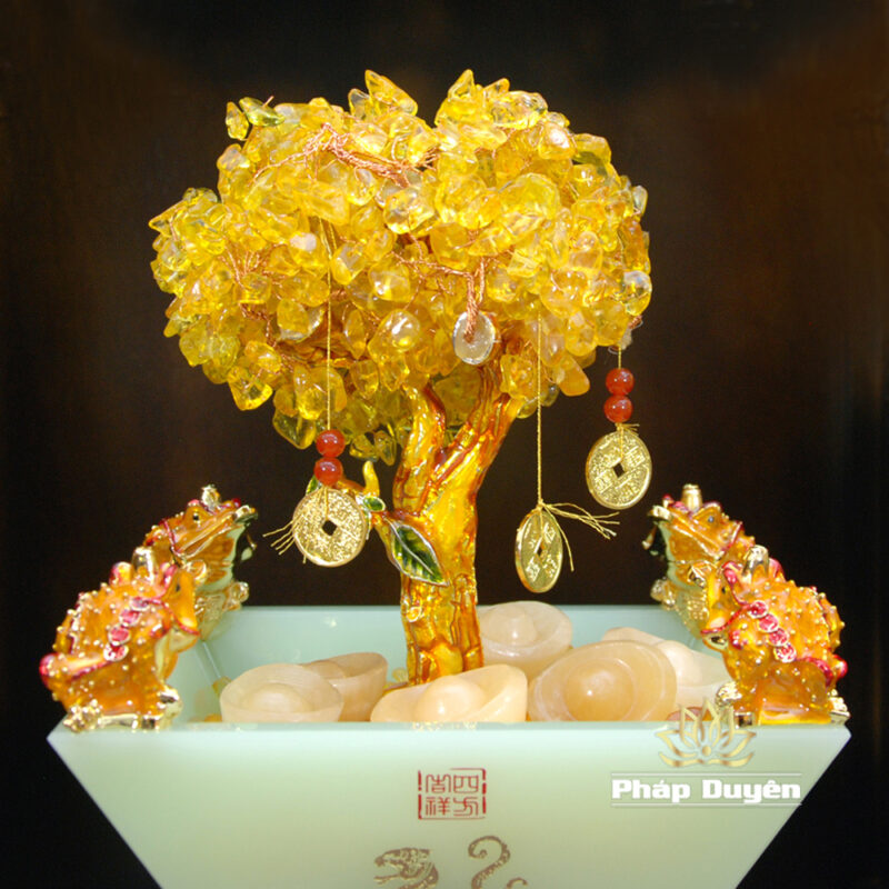 Bồn Tụ Bảo Thanh Ngọc Cây Phát Tài, Cao 42cm - Ảnh 4