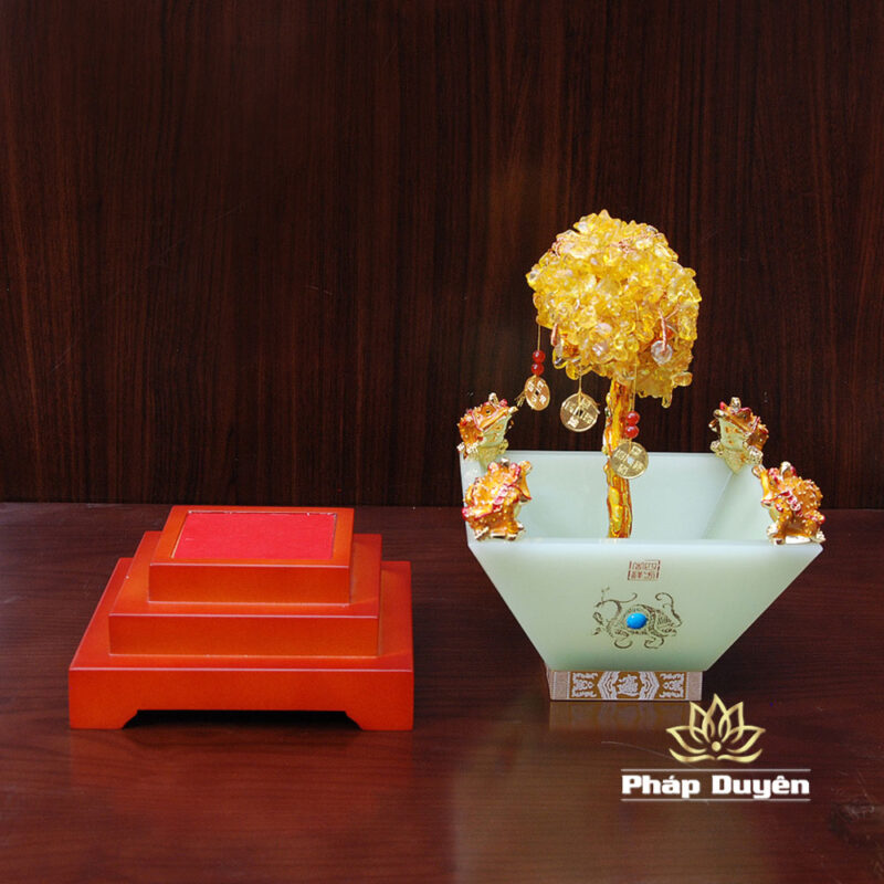 Bồn Tụ Bảo Thanh Ngọc Cây Phát Tài, Cao 42cm - Ảnh 7