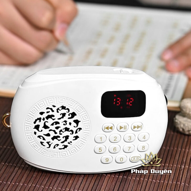 Máy Nghe Pháp Dùng Thẻ Nhớ, Hiệu 912 Màu Trắng - Ảnh 3
