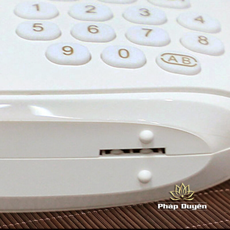 Máy Nghe Pháp Dùng Thẻ Nhớ, Hiệu 912 Màu Trắng - Ảnh 6