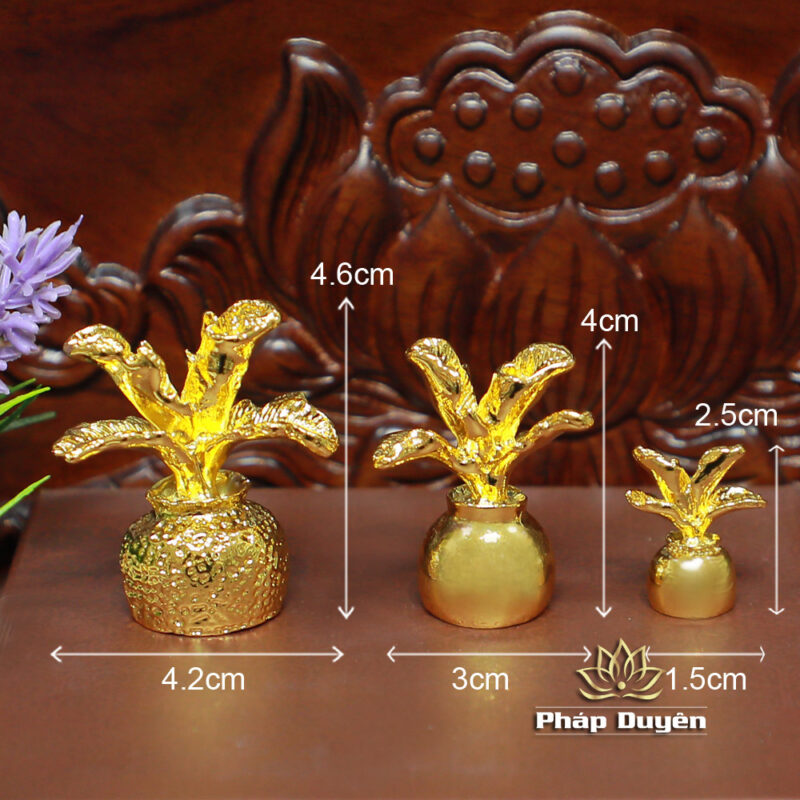Pháp Khí Tượng Dược Sư, Kích thước 12# | 19# | 26# - Ảnh 5
