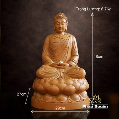 Tượng Bổn Sư Thích Ca, Chất Liệu Gỗ Hương Chương (Long Não), Cao 30-48cm