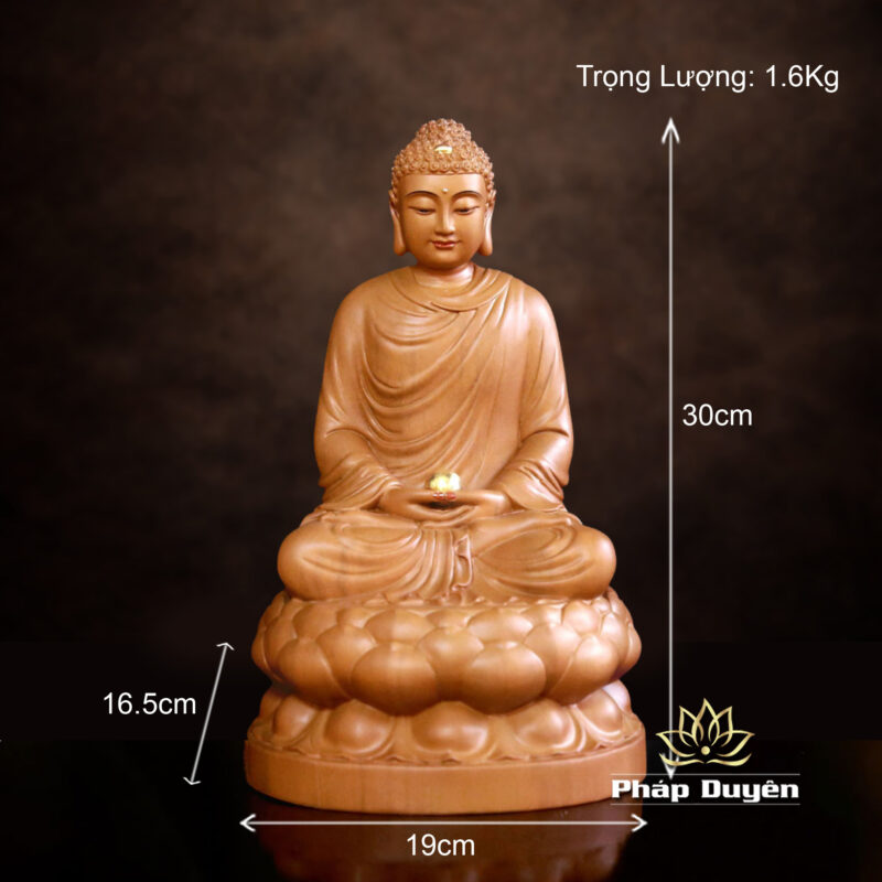Tượng Bổn Sư Thích Ca, Chất Liệu Gỗ Hương Chương (Long Não), Cao 30-48cm - ảnh 16