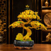 Cây Bonsai Cóc Ngậm Tiền Vàng Size Nhỏ