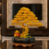 Cây Bonsai Túi Tiền Vàng Size Nhỏ