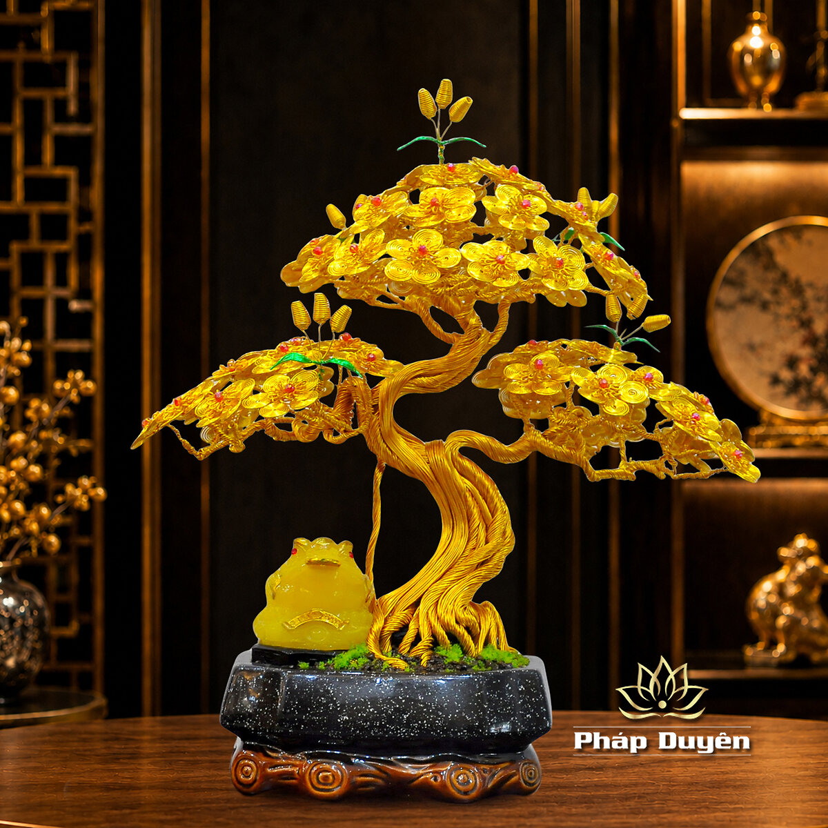 Cây Bonsai Cóc Ngậm Tiền Vàng Size Nhỏ - ảnh 2