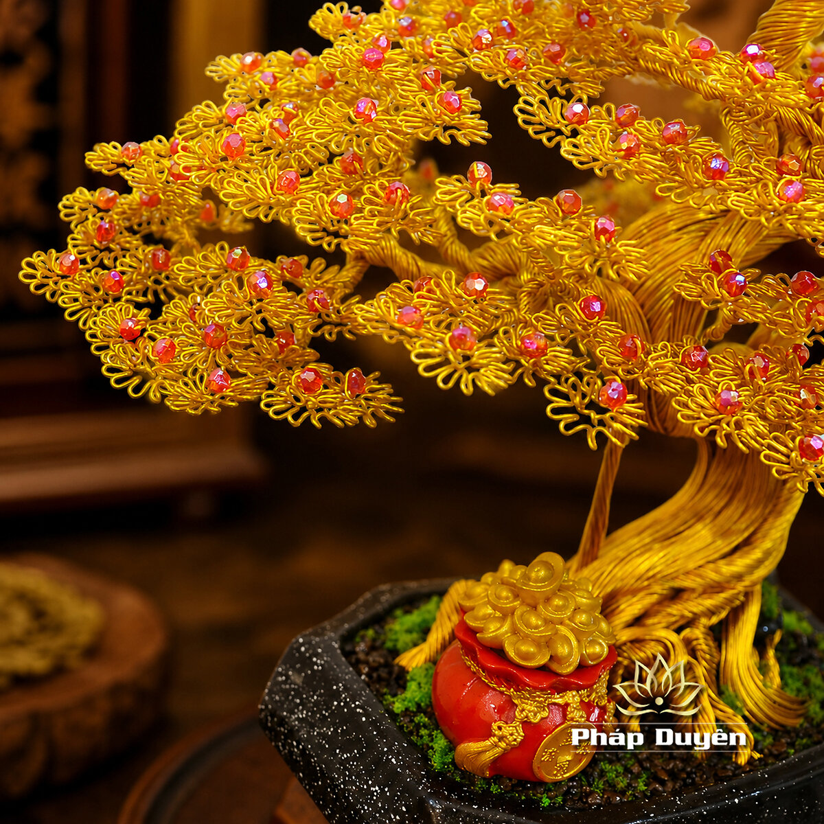 Cây Bonsai Túi Tiền Vàng Size Nhỏ - ảnh 4