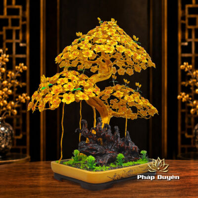 Alternative view of Cây Bonsai Mã Đáo Thành Công Size Trung