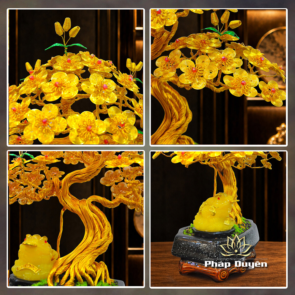 Cây Bonsai Cóc Ngậm Tiền Vàng Size Nhỏ - ảnh 4