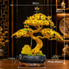 Cây Bonsai Cóc Ngậm Tiền Vàng Size Nhỏ - Ảnh 4