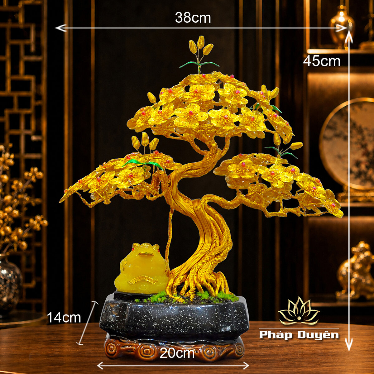 Cây Bonsai Cóc Ngậm Tiền Vàng Size Nhỏ - ảnh 5