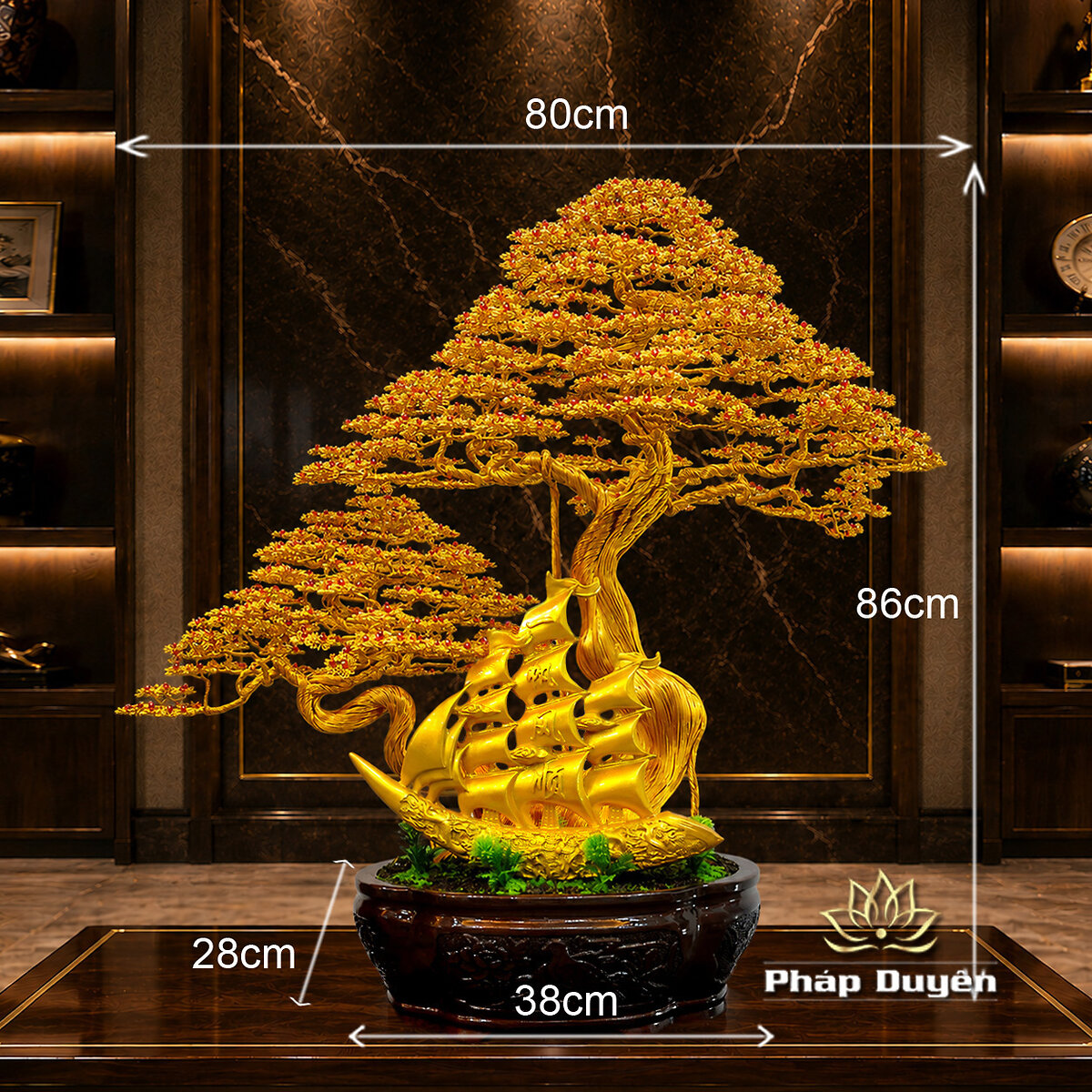 Cây Bonsai Thuận Buồm Xuôi Gió Size Trung - ảnh 5