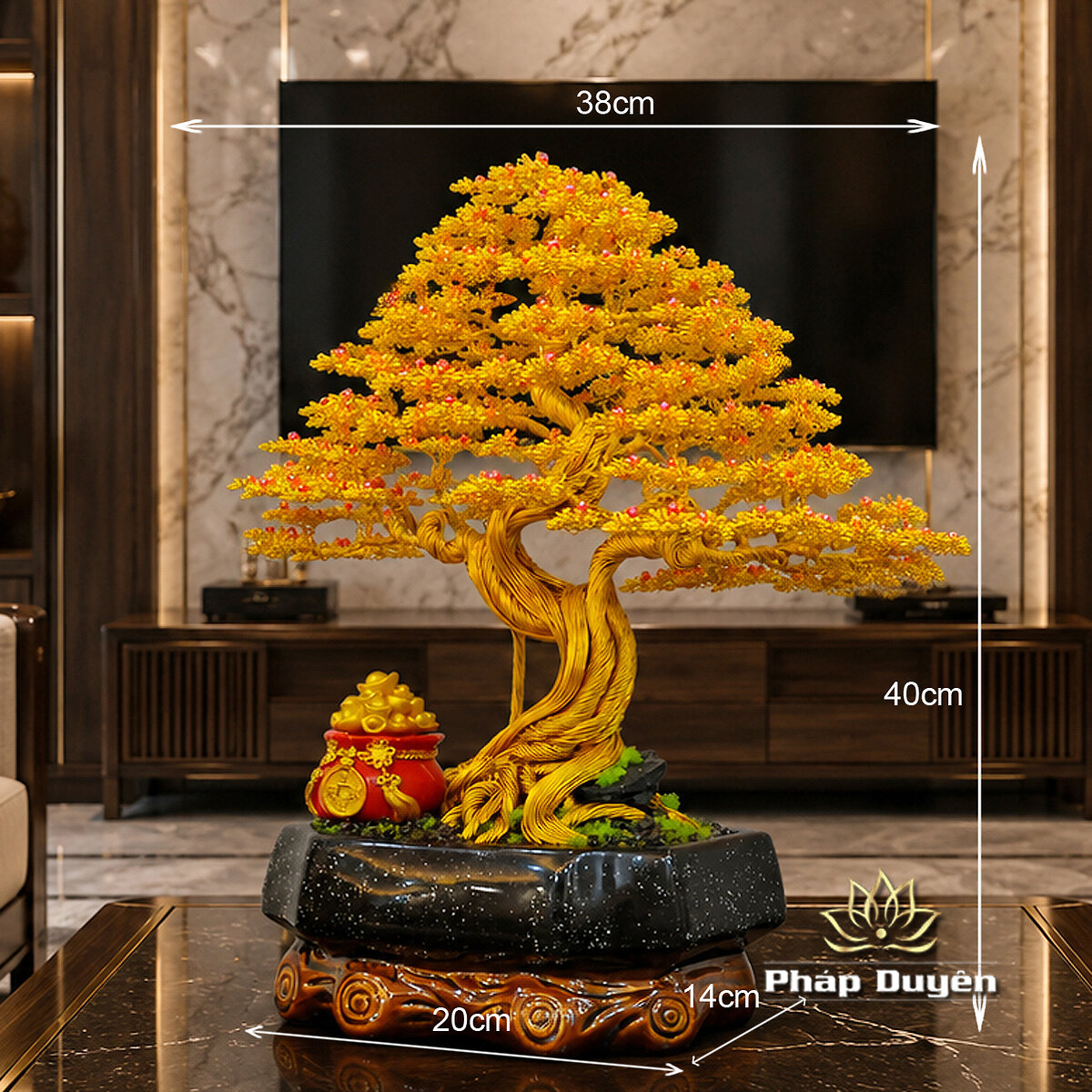 Cây Bonsai Túi Tiền Vàng Size Nhỏ - ảnh 5